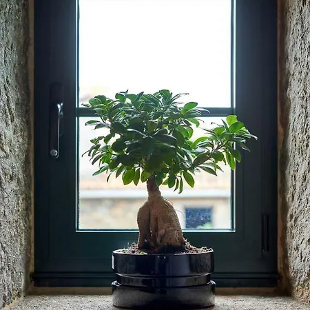 Semesterbostad Casa Entera A Ferradura