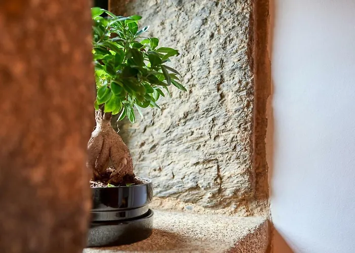 Casa Entera A Ferradura 別荘