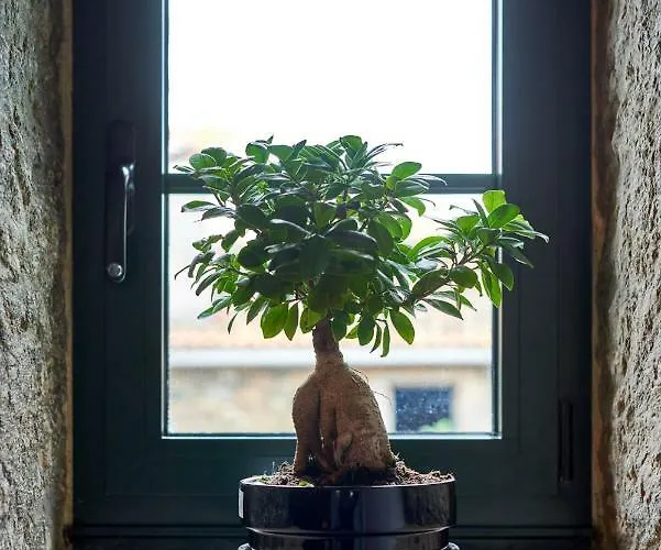 Σπίτι διακοπών Casa Entera A Ferradura